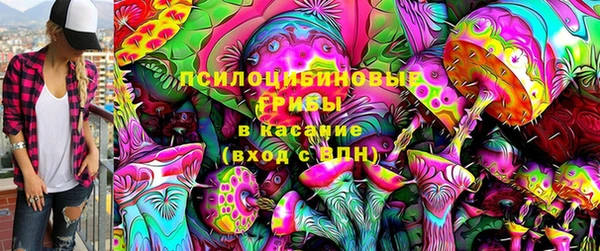 скорость Белокуриха