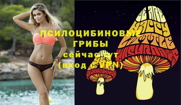 первитин Белоозёрский