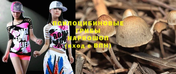 первитин Белоозёрский